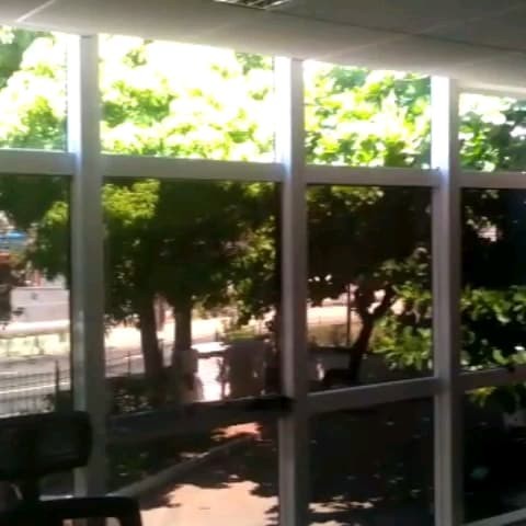 película de proteção solar