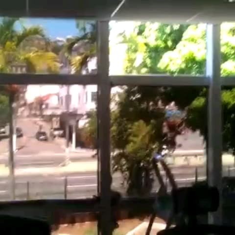 película de proteção