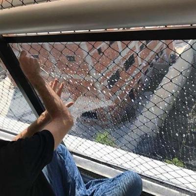 insulfilm-de-seguranca-rio-de-janeiro_0000s_0001_1